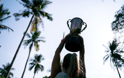 The Power of Small Wins