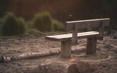Lonely?